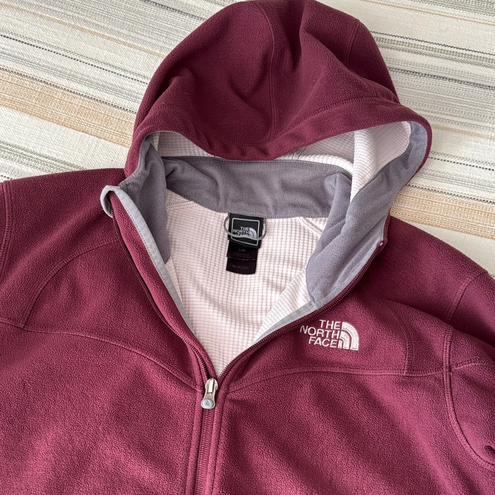 The North Face Windwall Hooded Fleece Jacket